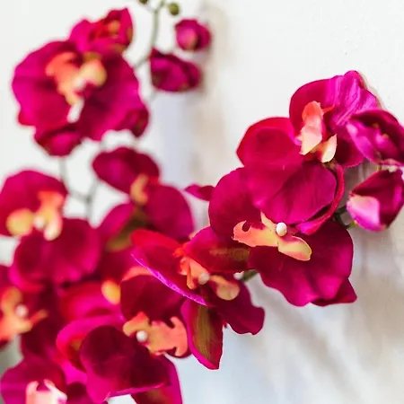 Apartmán Twinstars Wonderful View