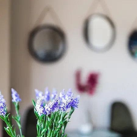 Twinstars Wonderful View Appartement