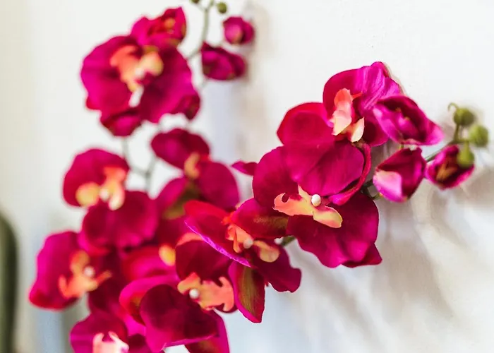 Apartamento Twinstars Wonderful View